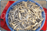 Dried Anchovies