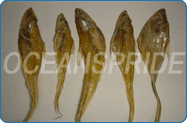 Dried Golden Anchovies