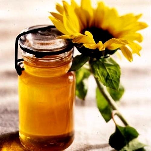Agro Sunflower Honey, for Personal, Food, Sweet, etc, Color : Golden