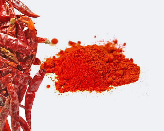 Premium Red Chilli Powder, for Cooking, Spices, Packaging Size : 500gm