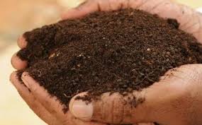 Bio Extract Organic Manure, for Agriculture, Packaging Type : Plastic Bag