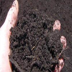 Pure Organic Manure, for Agriculture, Packaging Type : Plastic Bag