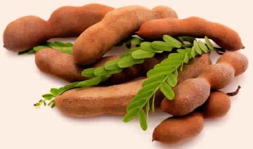 Tamarind with Seeds and Without Seeds
