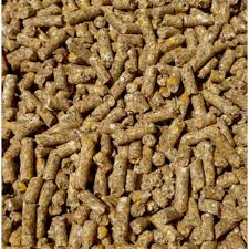 Dairy Cattle Feed Pellets, Packaging Type : Jute Bags, Loose, Plastic Pouch, PP Bags
