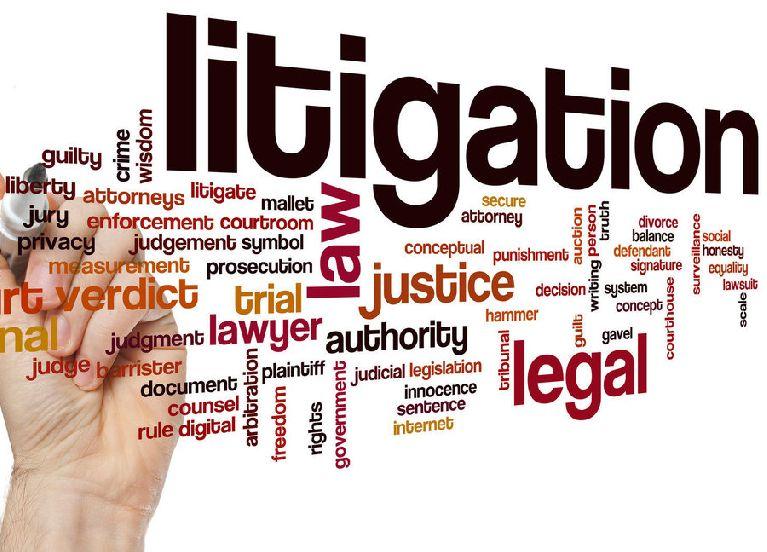 Litigation Services