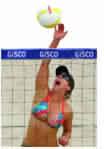 Beach Volleyball Net Official