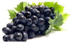 Organic fresh black grapes, Shelf Life : 7-10days