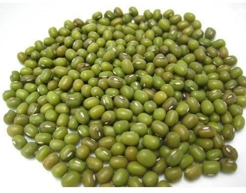 Organic Green Moong Beans, Packaging Type : Gunny Bag, Jute Bag
