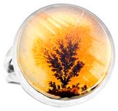 Scenic Dendritic Agate 925 Silver Ring