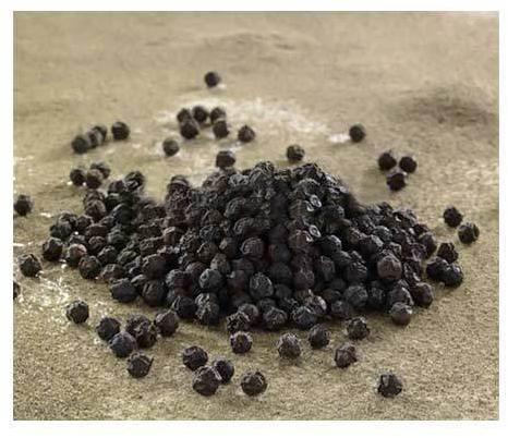 Organic Black Pepper Seeds, for Food seasoning, Packaging Size : 10kg