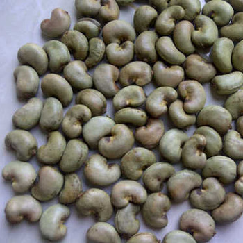 Organic Raw Cashew Nuts