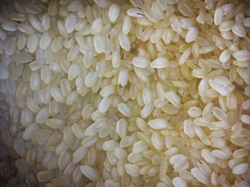 Ponni Short Grain Non Basmati Rice, Shelf Life : 2years