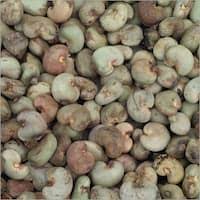 Shelled Raw Cashew Nuts, Packaging Type : 25kg
