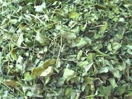 Common Dehydrated Moringa Leaves, for Cosmetics, Medicine, Color : Green
