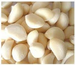 Dehydrated Peeled Garlic, Feature : Gluten Free, Moisture Proof