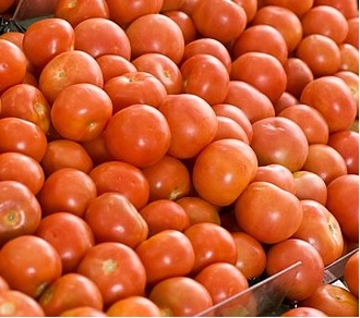 Red Common fresh tomato, for Cooking, Packaging Type : Net Bag