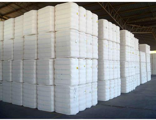 White Cotton Bales