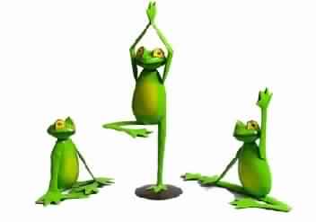 IRON HANDICRAFTS yoga frog set
