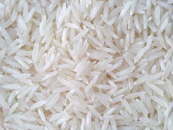 Hard Organic 1401 White Basmati Rice, Variety : Long Grain, Medium Grain, Short Grain
