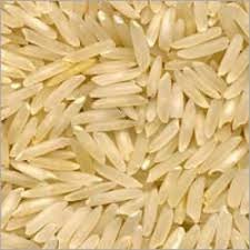 Hard Organic 1509 Golden Basmati Rice, Variety : Long Grain, Medium Grain
