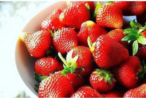 Round Fresh Red Strawberry