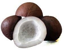 Indian Coconut Copra