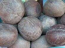 Organic Coconut Copra