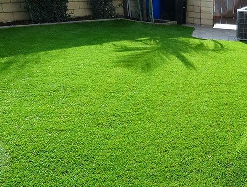 garden lawn grass