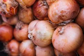 Fresh Organic Onion, for Human Consumption, Shape : Round