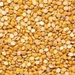 Organic Dried Chana Dal, Color : Yellow