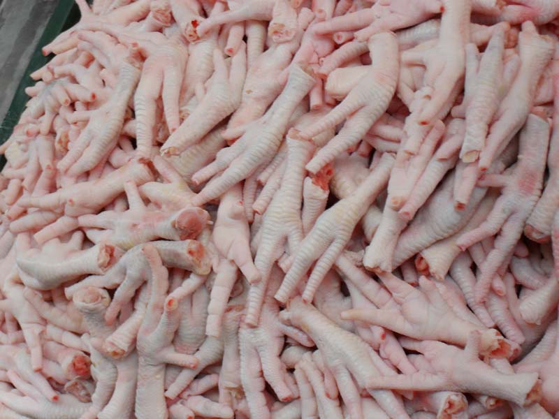Frozen Chicken Feets Buy Frozen Chicken Feets for best price at USD 500 /  Metric Ton ( Approx )