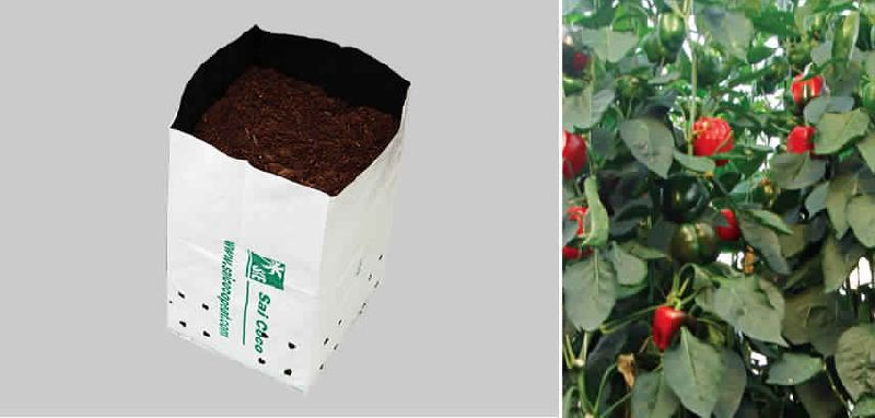 Coir/Cocopeat Opentop Growbags