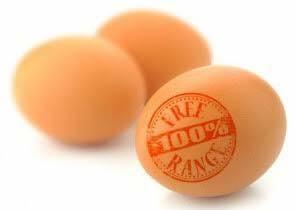 Brown Eggs, Packaging Type : Caret,Tray