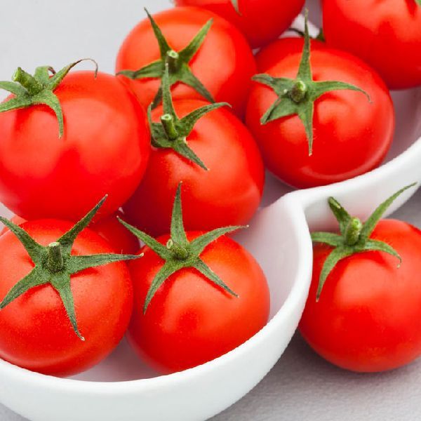 Common Fresh Tomato, For Cooking