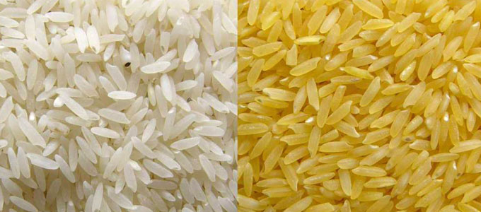Parmal Sella Non Basmati Rice, for Cooking, Home, Feature : Gluten Free