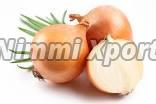 Organic fresh onion, Packaging Type : Jute Bags, Plastic Bags