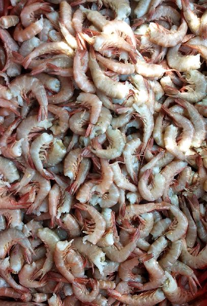 Headless Brown Prawns For Home Hotel Mess Restaurant Feature