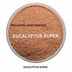 Neelkanth Agro Eucalyptus Super Seed