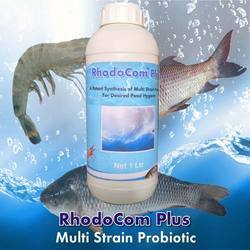 Multi Strain Probiotic, Packaging Type : Bottle