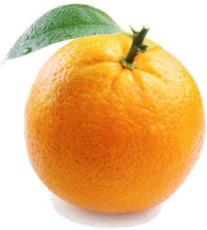 Fresh Orange, for Juice, Taste : Sweet, Tasty