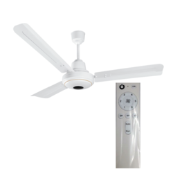 Bldc Ceiling Fan