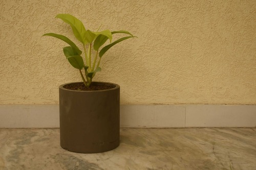 Conkreate Concrete Designer Planters