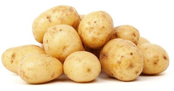 Natural fresh potato, for Cooking, Home, Packaging Type : Guny Bag, Jute Bag, Plastic Bag, Sack Bag