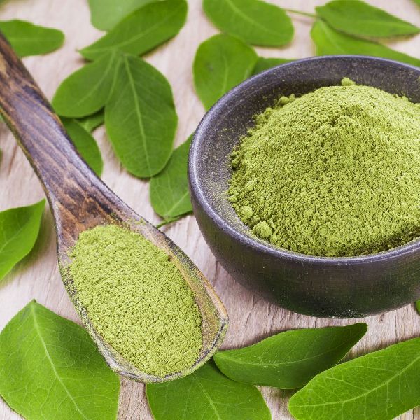 Indogreen moringa leaves powder, Packaging Type : Plastic Packet