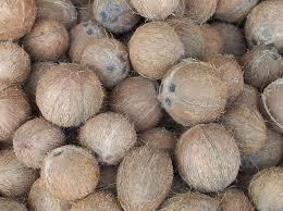 Organic Dehusked Coconut, Color : Brown