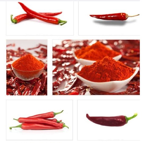 Kathiyawadi Organic Red Chilli Powder, Packaging Type : Plastic Packet