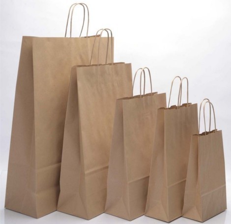 Disposable Paper Bag, for Gift Packaging, Shopping, Size : Multisizes