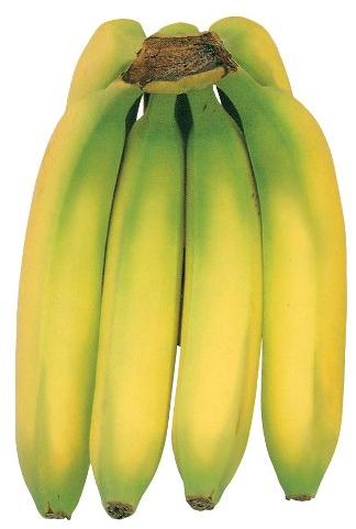 organic banana