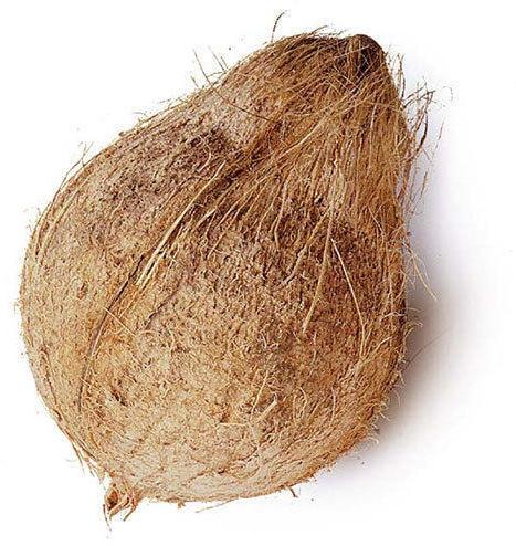 Common Semi Husked Coconut