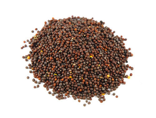 Organic Brown Mustard Seeds